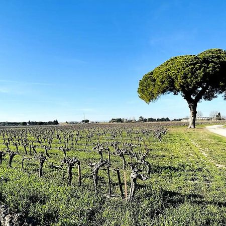 Les Appartements Du Mas - Emeraude Aigues-Mortes Buitenkant foto